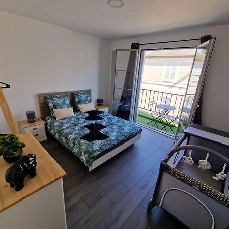 Appartement Hyper Centre Cosy Avec Balcon シャトーダン エクステリア 写真